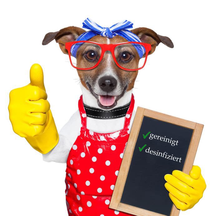 Hund Desinfiziert und gereinigt Fotobox Accessoires